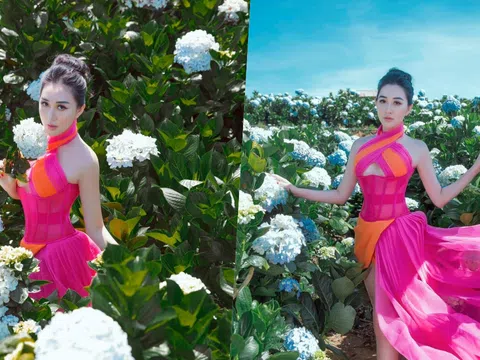 Hoa Hậu Huỳnh Thuý Anh đẹp mơ mộng giữa vườn hoa cẩm tú cầu